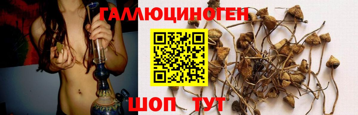 Галлюциногенные грибы ЛСД  Вход с VPN  Алейск  Галлюциногенные грибы прущие грибы 